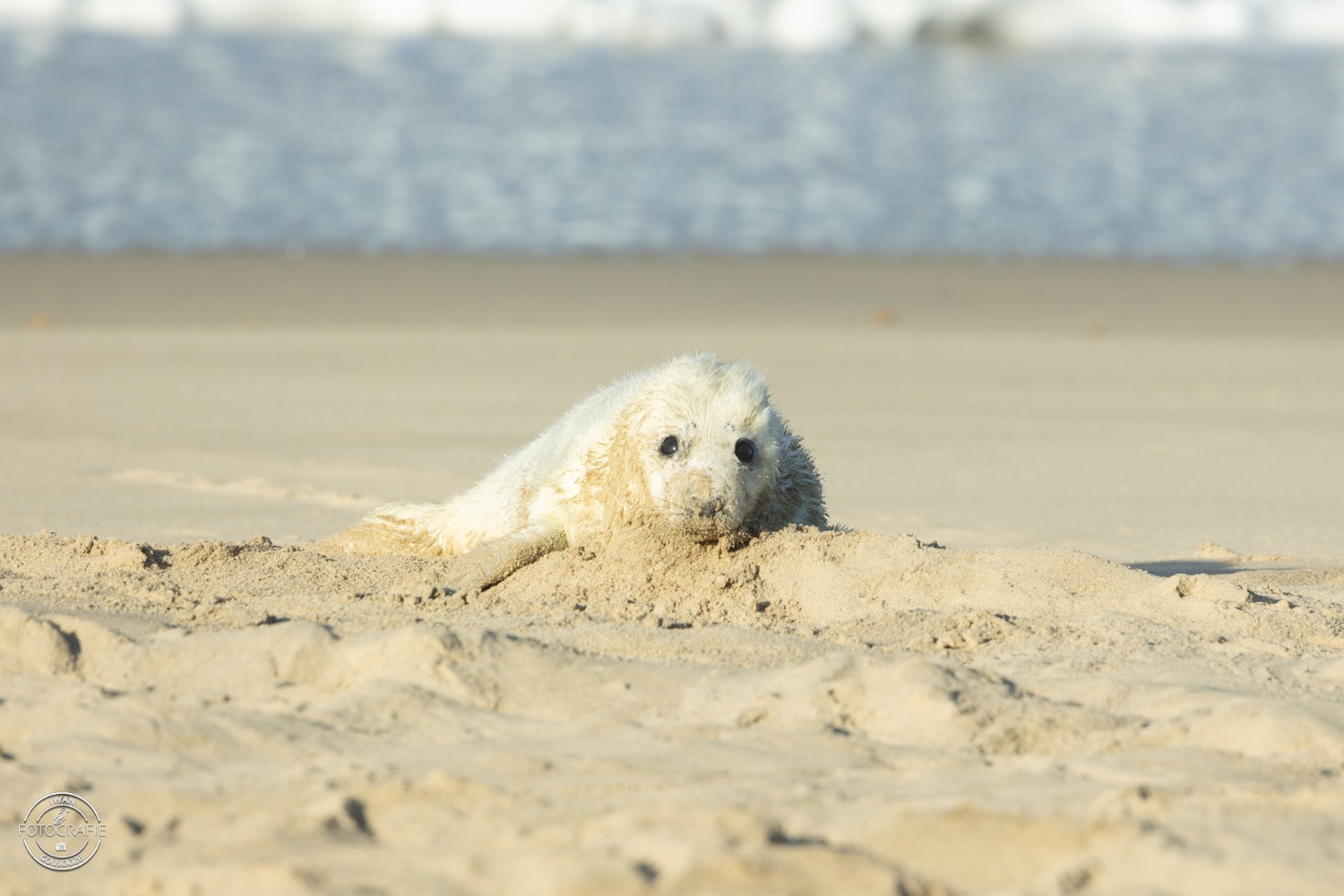 08 januari 2023 151254 1R2A3103